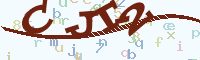reload image