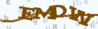 reload image