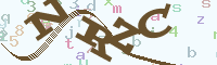 reload image