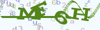 reload image