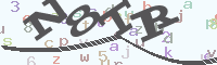 reload image