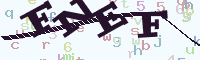 reload image