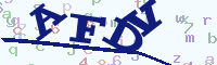 reload image