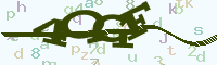 reload image
