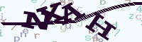 reload image