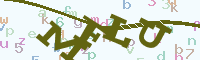 reload image