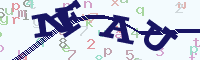reload image