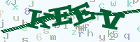 reload image