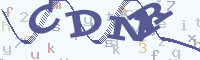 reload image