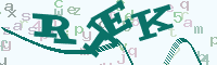 reload image