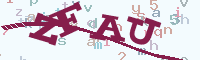 reload image