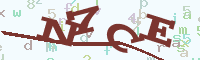 reload image