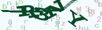 reload image