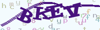 reload image