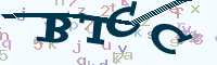 reload image
