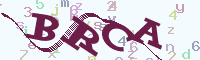 reload image