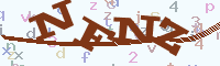 reload image