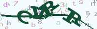 reload image