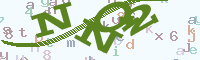 reload image