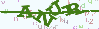 reload image