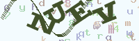 reload image