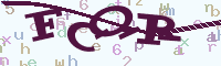 reload image