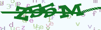 reload image