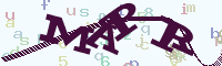reload image