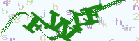reload image