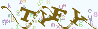 reload image